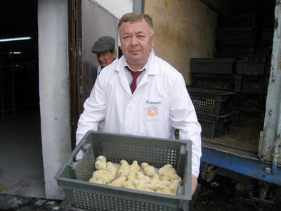 Вадим Николаев выводил цыплят из бюджета республики.